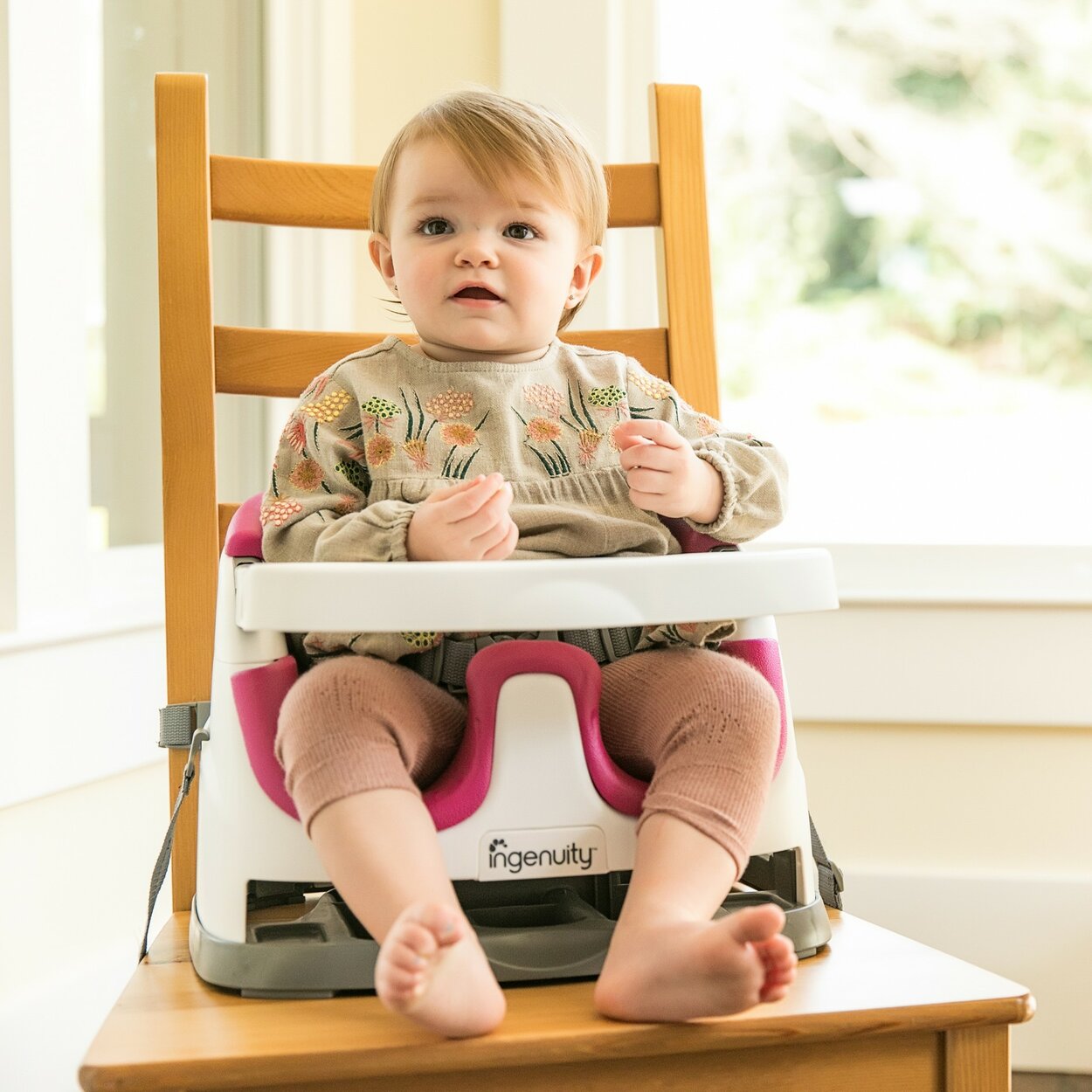 INGENUITY Podsedák na stoličku 2v1 Baby Base Pink Flambe 6m+ do 22 kg |  Predeti.sk